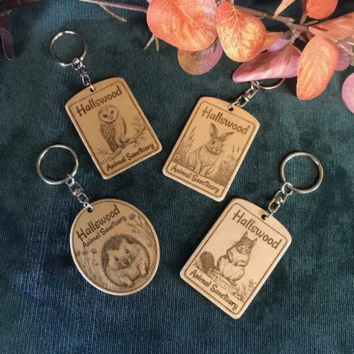 Hallswood Animal Sanctuary Custom Designed Keyrings