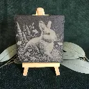03-rabbit-coaster.webp