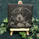 02-puppy-dog-slate-coaster-squ.webp