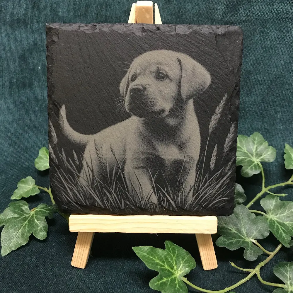 03-puppy-dog-slate-coaster-squ.webp