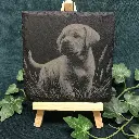 03-puppy-dog-slate-coaster-squ.webp