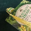 03-daisy-painted-book.webp