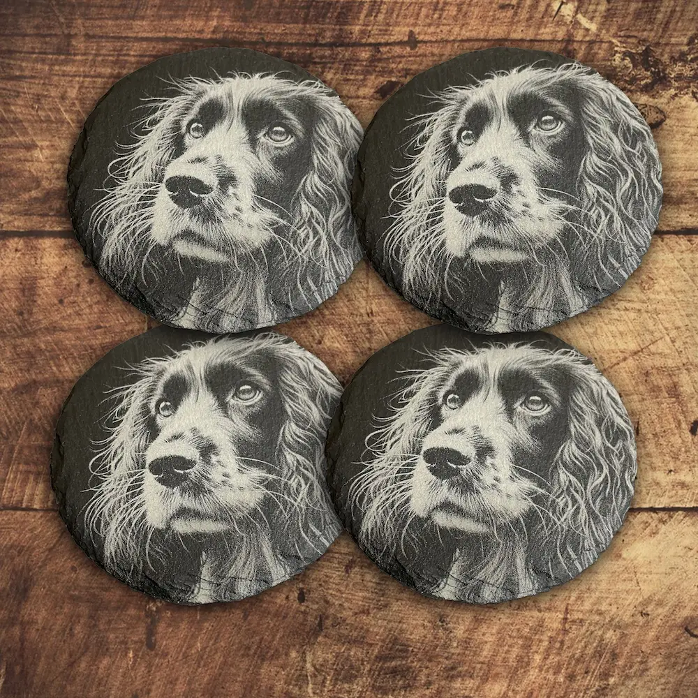 Spaniel coaster set of four.webp