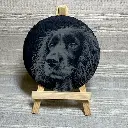 Spaniel   - Round Slate Coasters