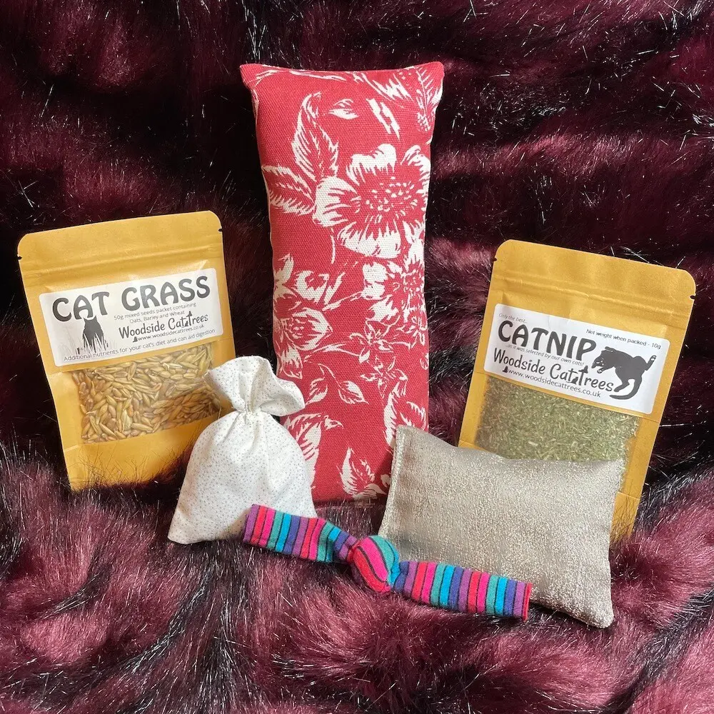 Cat Toy Gift Box 02