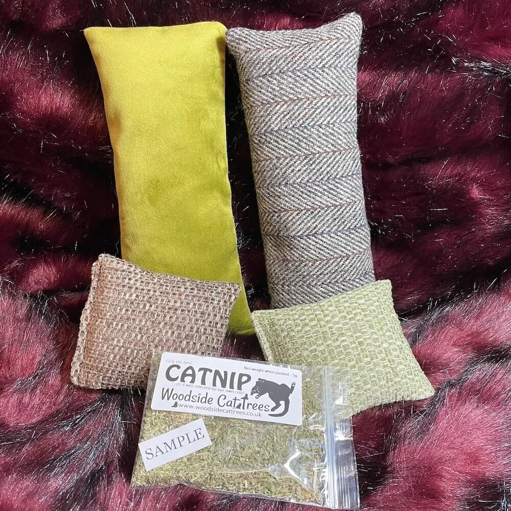 Cat Toy Gift Box 01
