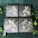 Rabbit  - Square Slate Coasters