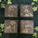 Puppy Dogs - Square Slate Coasters
