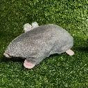 Catnip Moggie-Mole, Soft Cat Toy