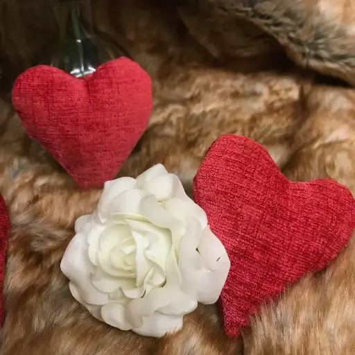 Catnip Hearts - Cat Toy