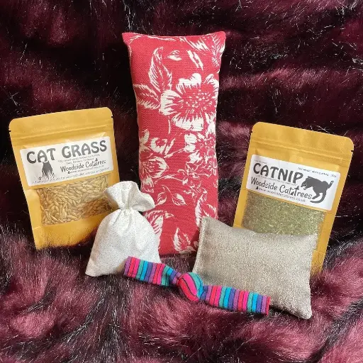 Cat Toy Gift Box 02